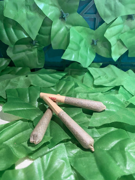 Pre Roll Kanabos THC Promo 3 pack